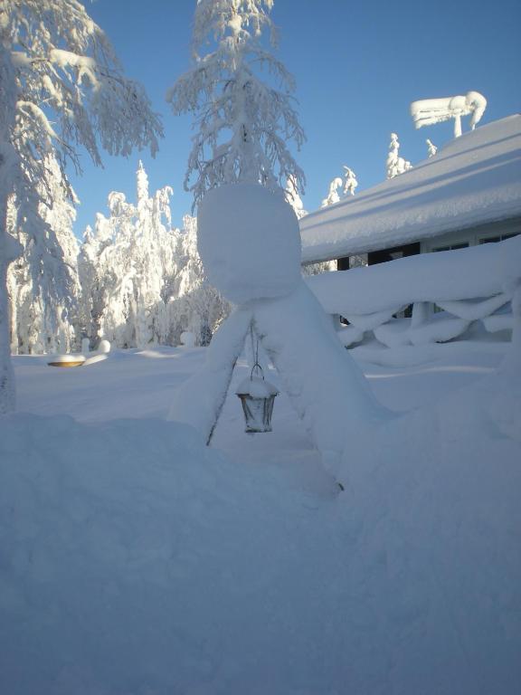 Rukanelioe Cottage 部屋 写真
